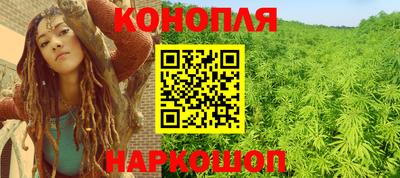 гидропоника Будённовск