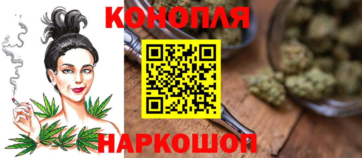 Бошки Шишки планчик Тара